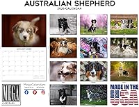 Vista 944 de Razas de Perros 2017