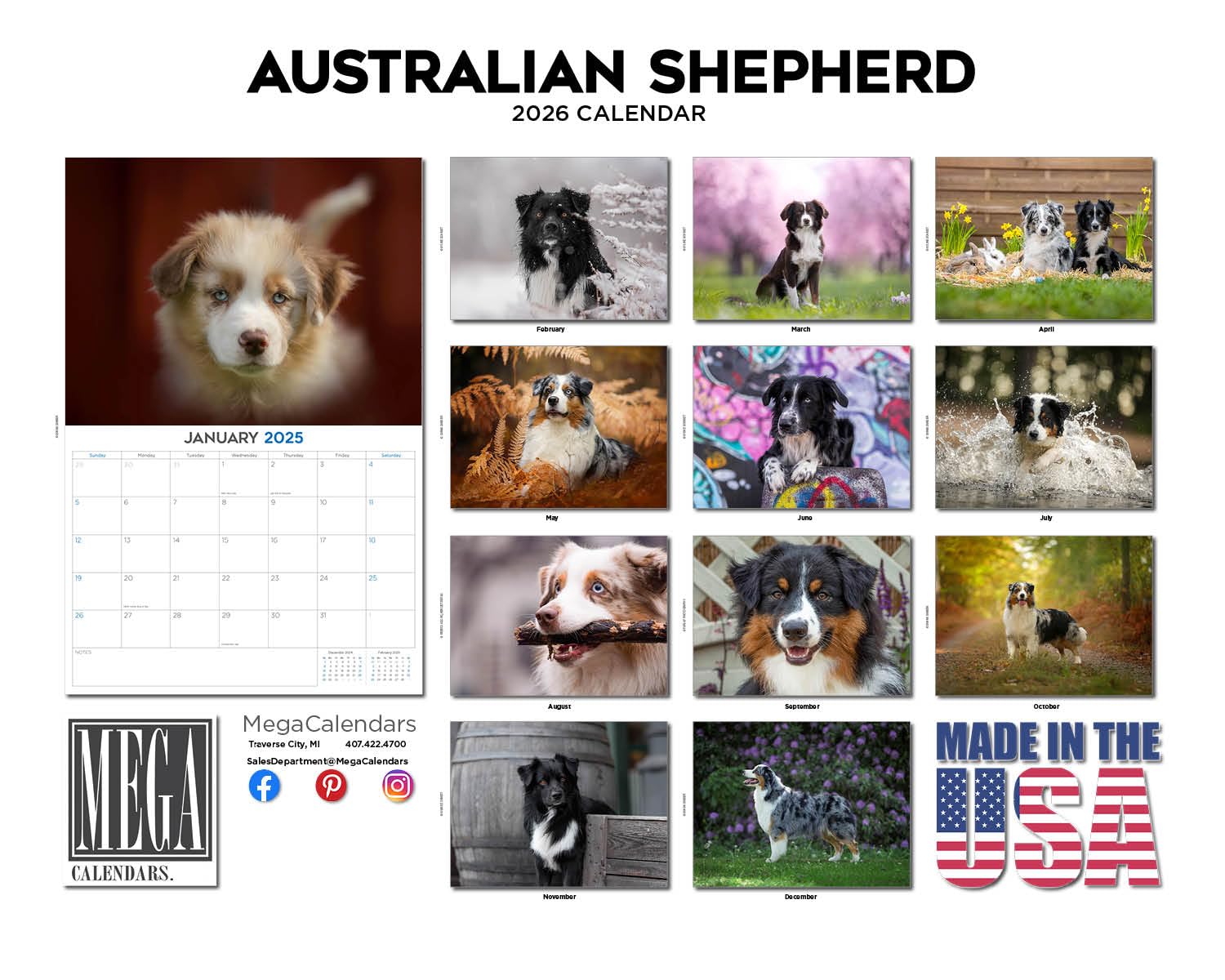 Calendario de pastor australiano 2024 2025 – Calendario mensual de pared de raza de perro – 12 x 18 pulgadas abierto – Papel grueso que no se corre – Regalo – Planificador académico para profesores