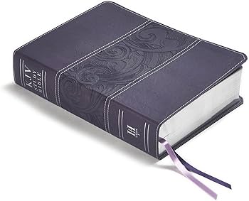 71TpgR2ABmL._AC_UF350,