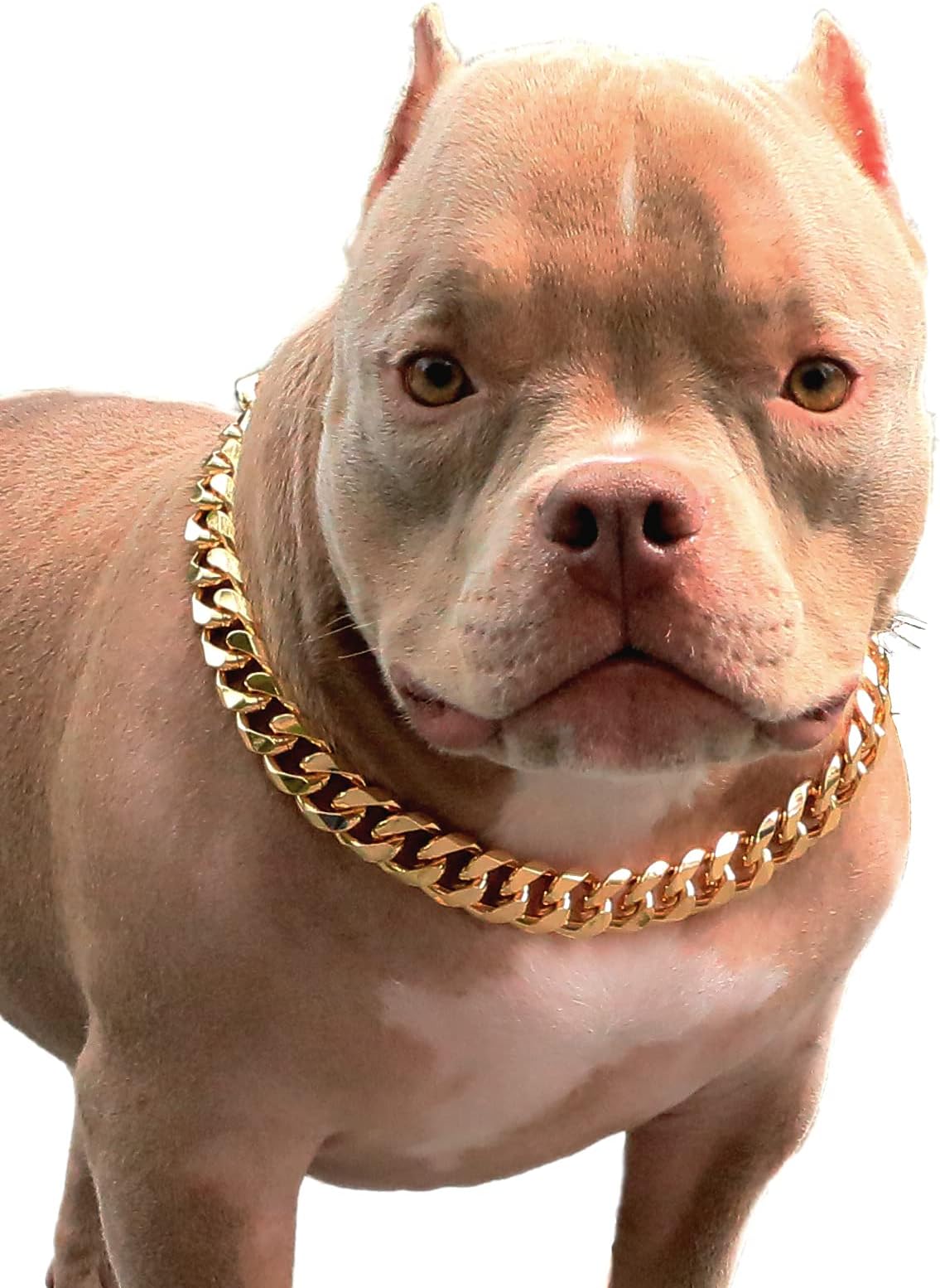 Gold Chain Dog Collar-3/4 Width Cuban Link Dog Necklace, Cute Fashion Pet Collar for Pit Bulldog, Light Metal Jewelry Chain Puppy Accessories 11"