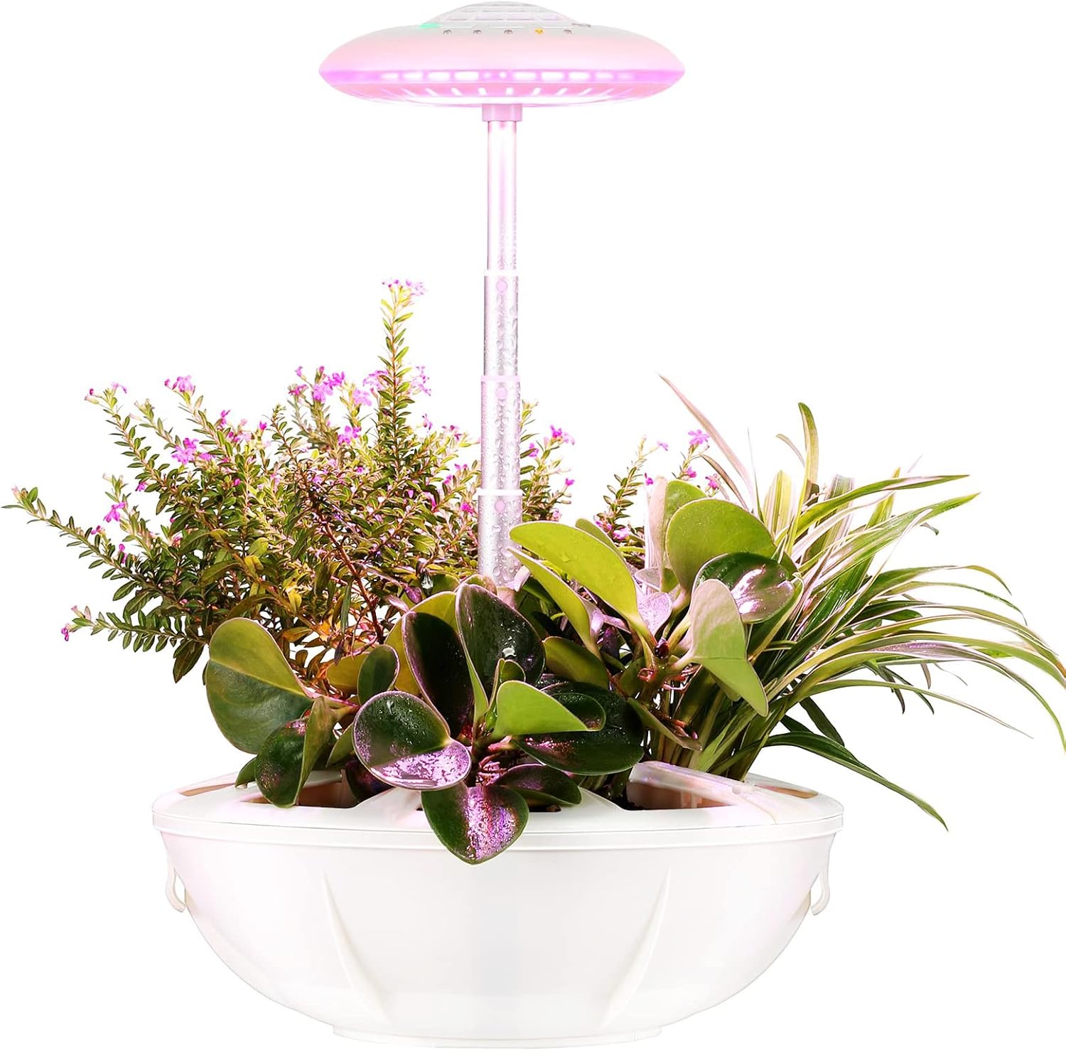 Hydroponics Growing System with LED Grow Light Smart Herb Plants Germination Kit Height Up to 19.7" Indoor Garden Garden Kit Automatic Timer for Kitchen Office Home