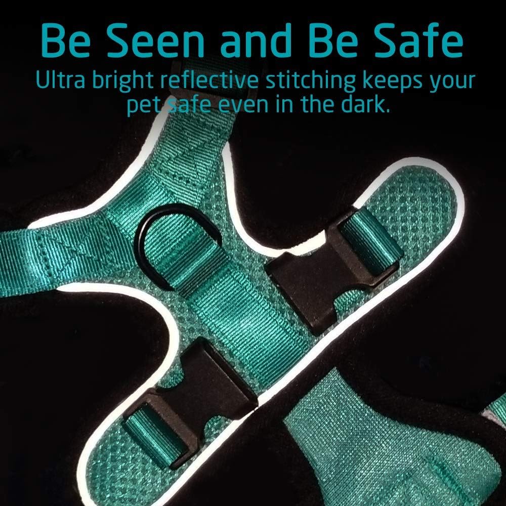 rabbitgoo Cat Harness Escape Proof, Adjustable Small Pets Vest Harnesses, No Choke No Pull Design for Best Safety and Comfort - Soft Mesh Kitten Puppy Harness with Reflective Strips, Emerald