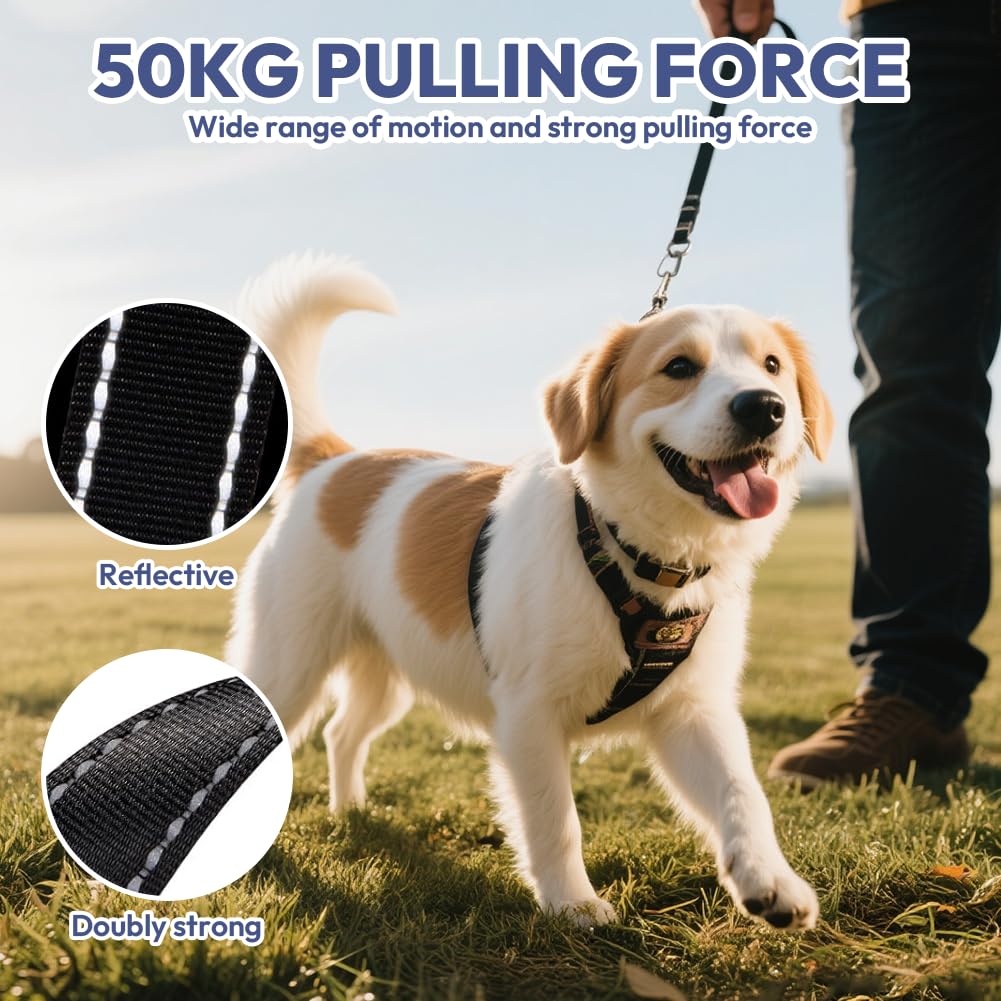 Hundeleine 8m, Einziehbare Hundeleine, Rollleine für Hunde, Rollleine mit Kotbeutelhalter, mit Bissfesten Stahlseil, Anti-Rutsch-Griff & Schnellbremsknopf, für Training, für Hunde bis 50 kg (Schwarz)