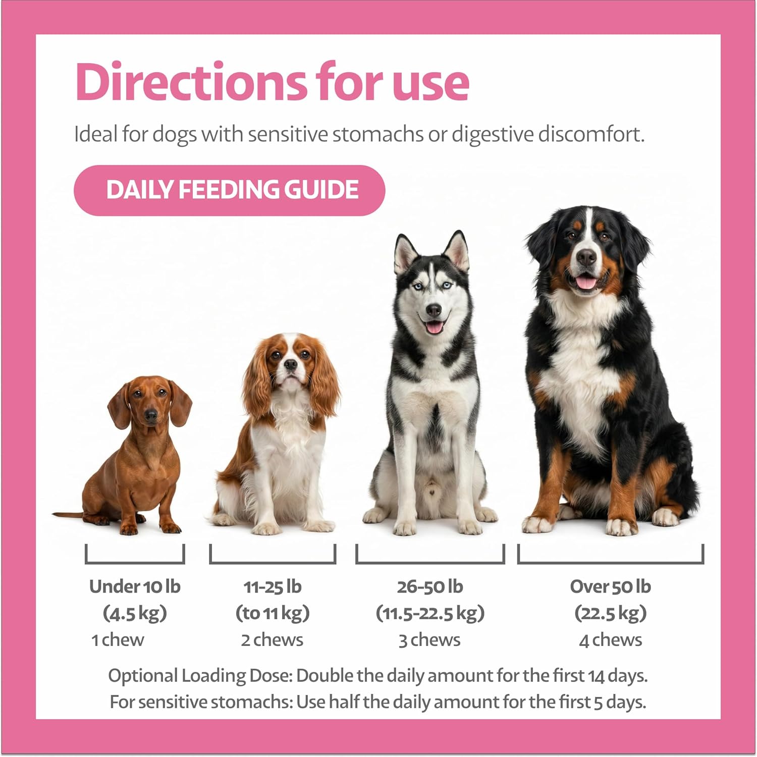 Tummy Trust Digestive Comfort Soft Chews for Dogs – Ayurveda-Inspired Botanical Daily Gut Support – Made with Real Pork – for All Breeds & Sizes – 90 Count
