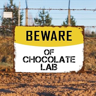 Beware of Chocolate Lab Sign for Home Farmhouse Safety Warning Custom Weather Fade Resistant Metal Tin Sign 12x8 Inch Proudly Made in USA Family Bathroom Workplace Decor Funny Sign