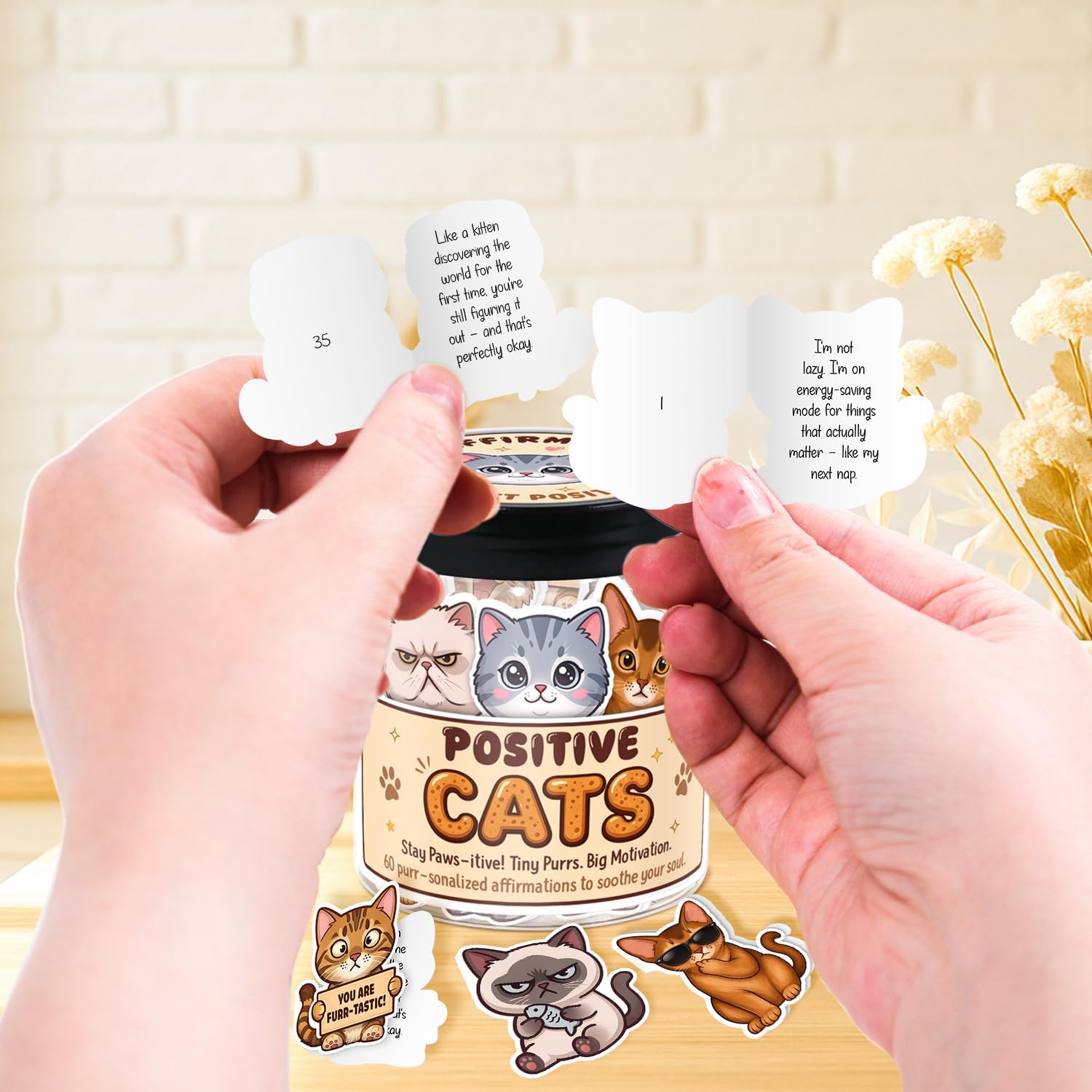Emotional Support Cats Jar, 60 Affirmation Cards for Women, Positive Cat Gift for Women, Cat Lovers, Mom, Girls, Kids, Cat Themed Gifts For Teens - Stress Relief, Birthday image 2