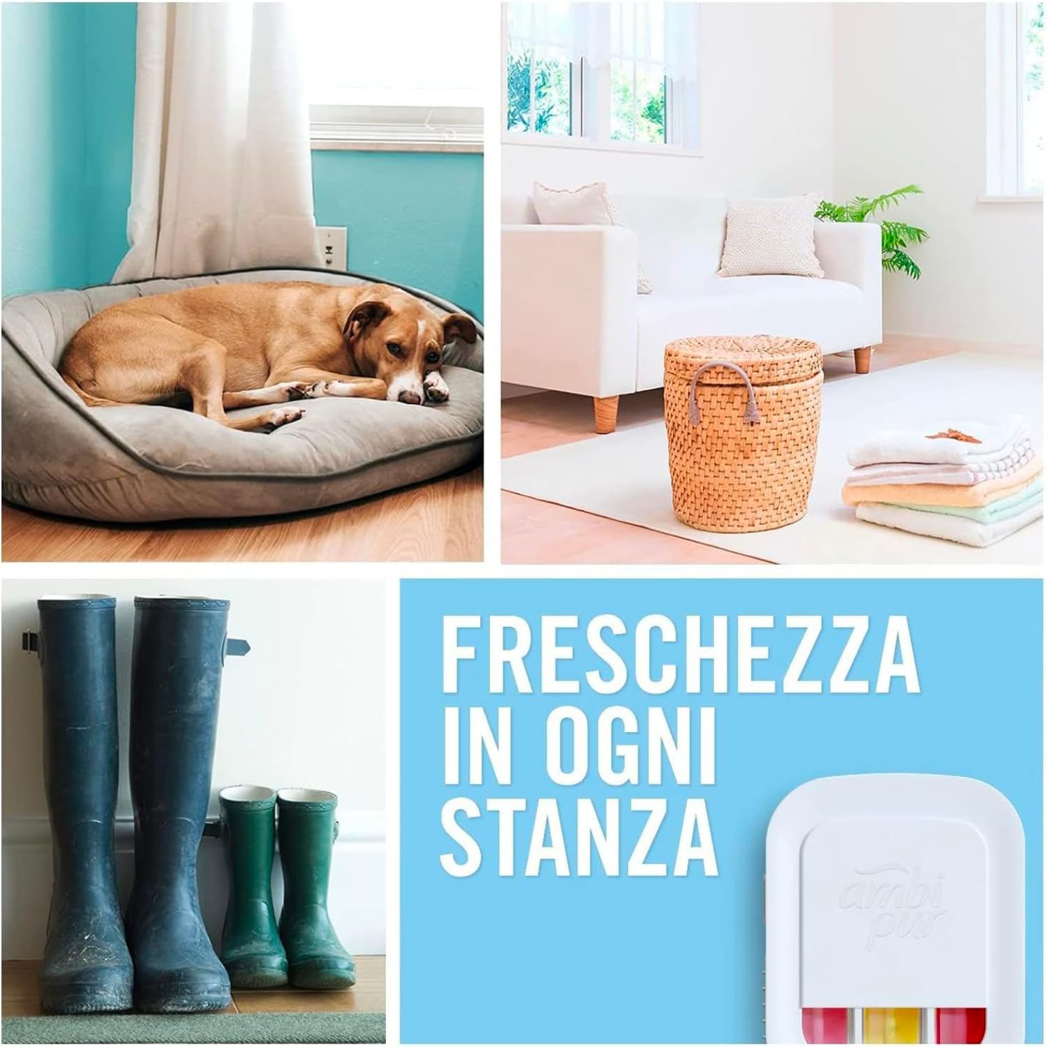 Ricariche profumatore elettrico per ambienti – Fragranza oro e fiori di vaniglia – 40 ml – Variazioni 4/8/12 Pezzi (4)