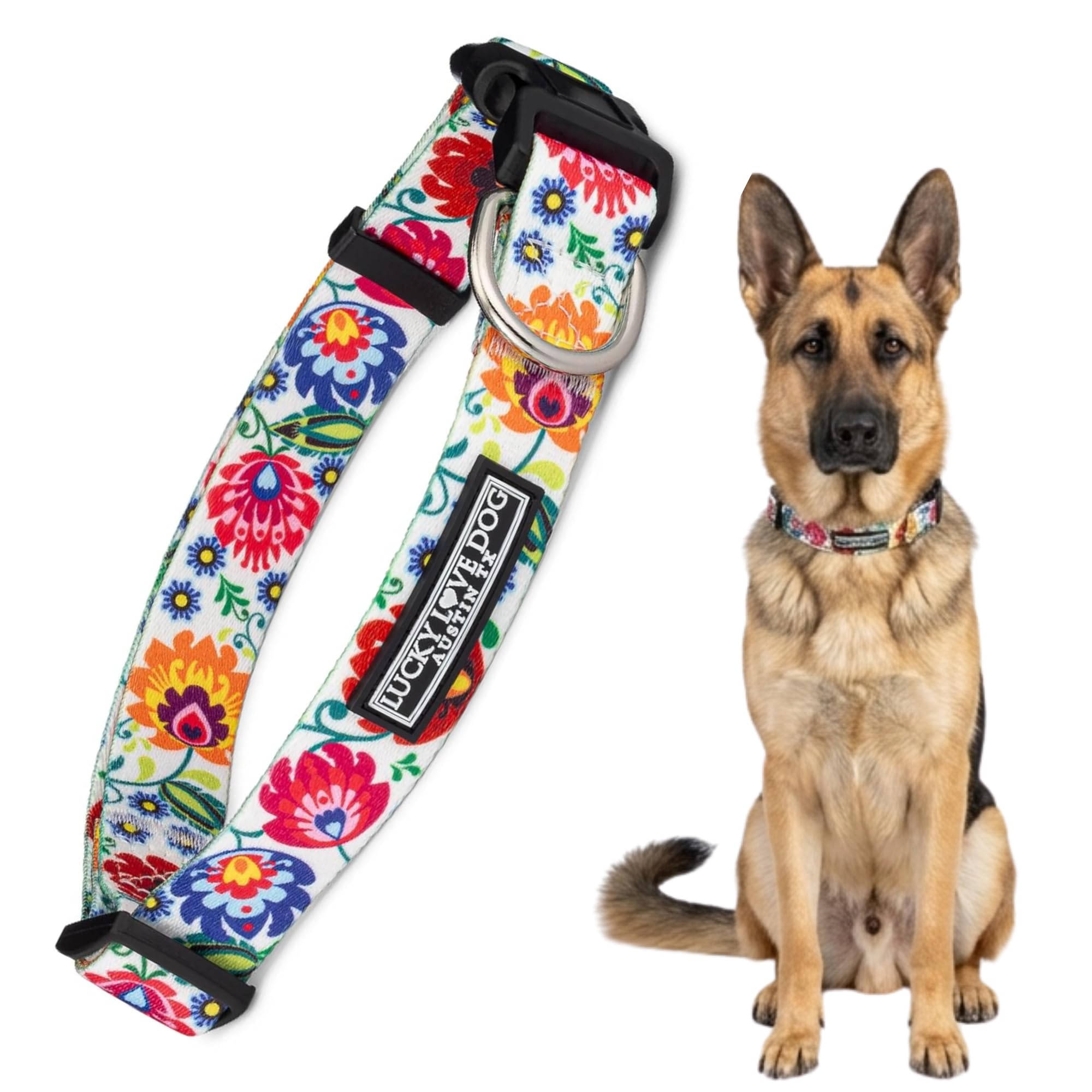 Lucky Love Dog Collar