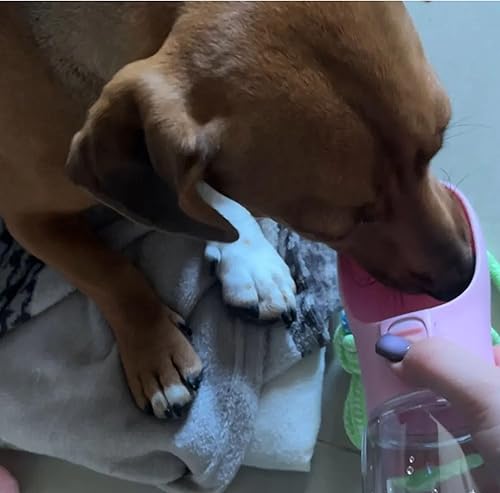 Miniatura 6 de Botella de agua portátil para perros  Dispensador de agua para perros a prueba de fugas para viajes al aire libre (blanco, 19 onzas)