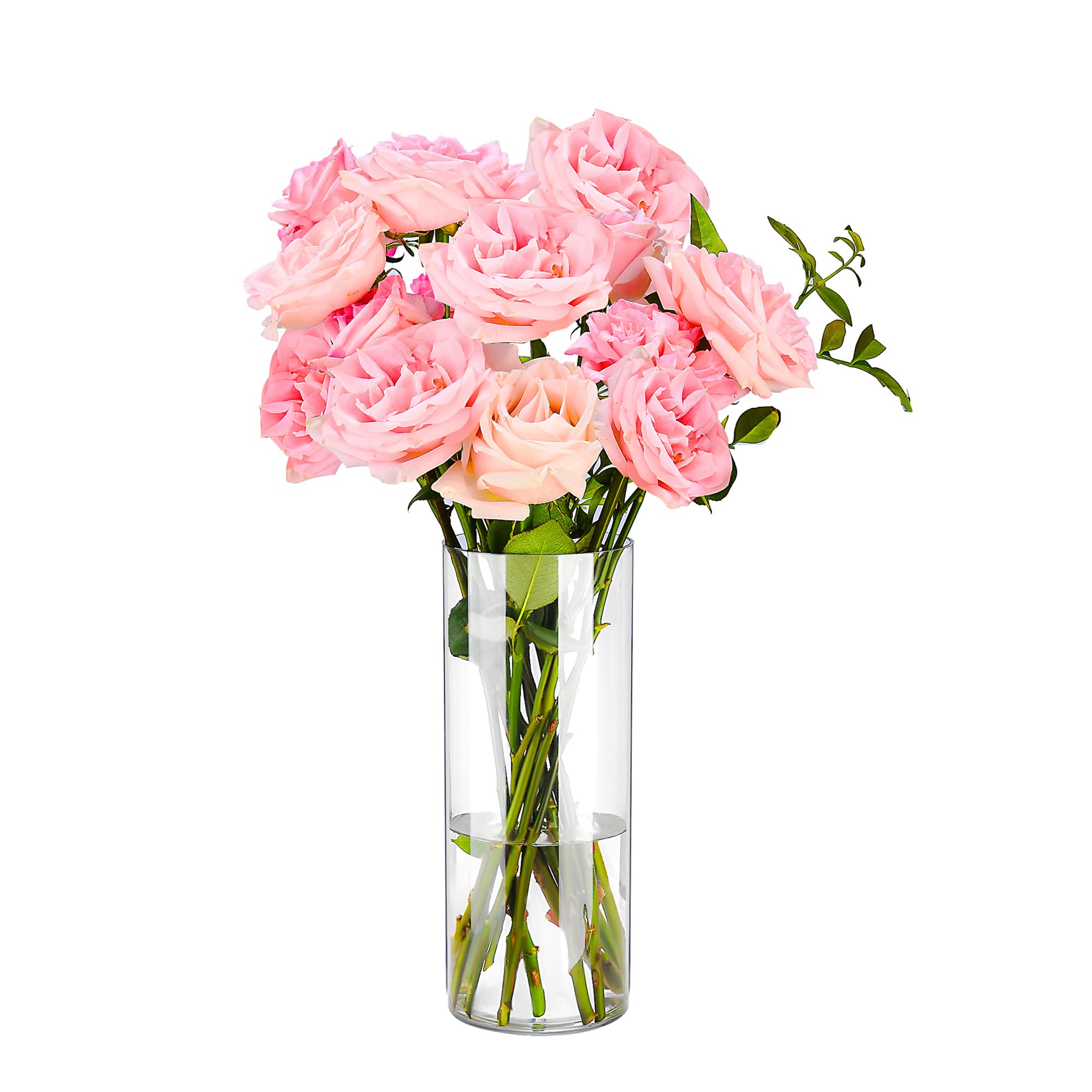 Photo 1 of Guluto Clear Flower Vase, Non-breakable Vases, 4" W x 16" H, Acrylic Vase, Aesthetic Room Decor Cylindrical Modern Flower Vases for Table Centerpiece, Home Decor, Women Floral Arrangement Gift