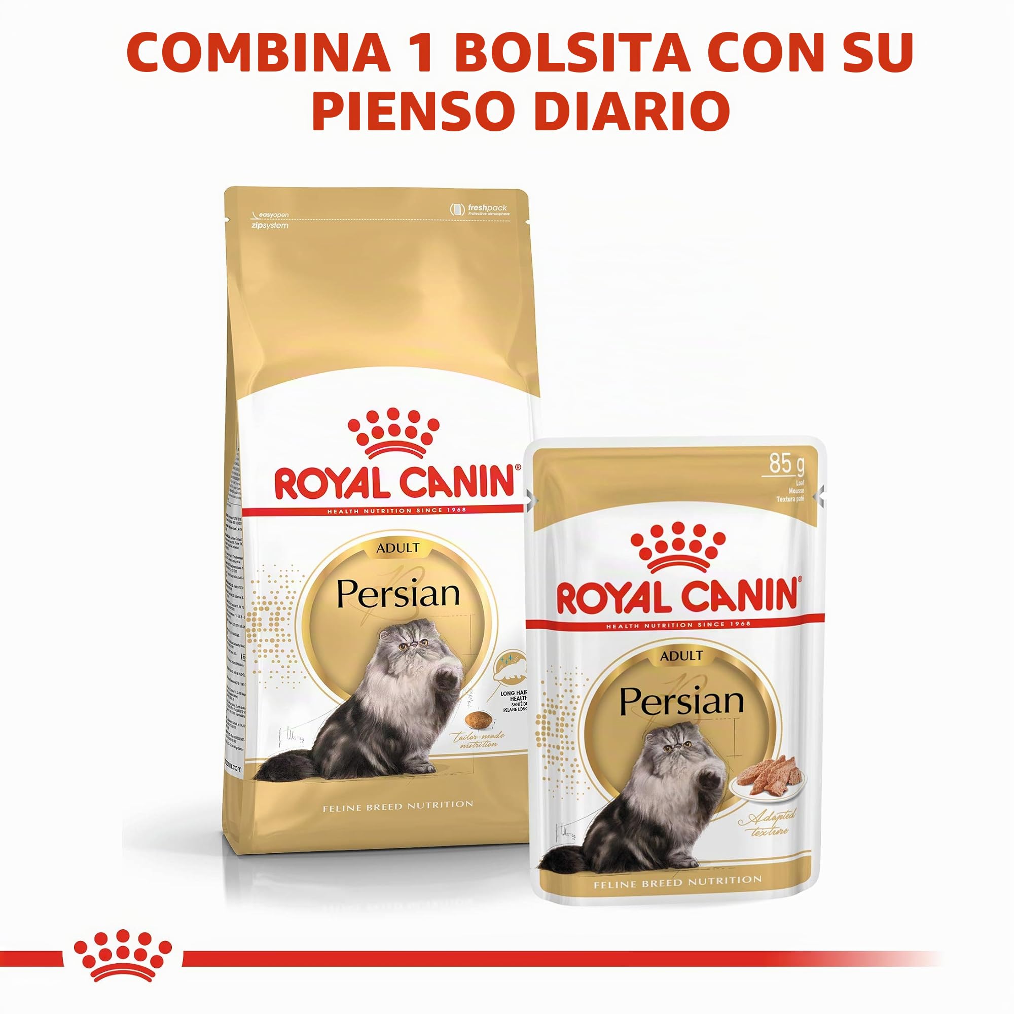 Royal Canin Persian Secco Gato kg. 10 comederos para Gatos en Forma de croquetas, Multicolor, único