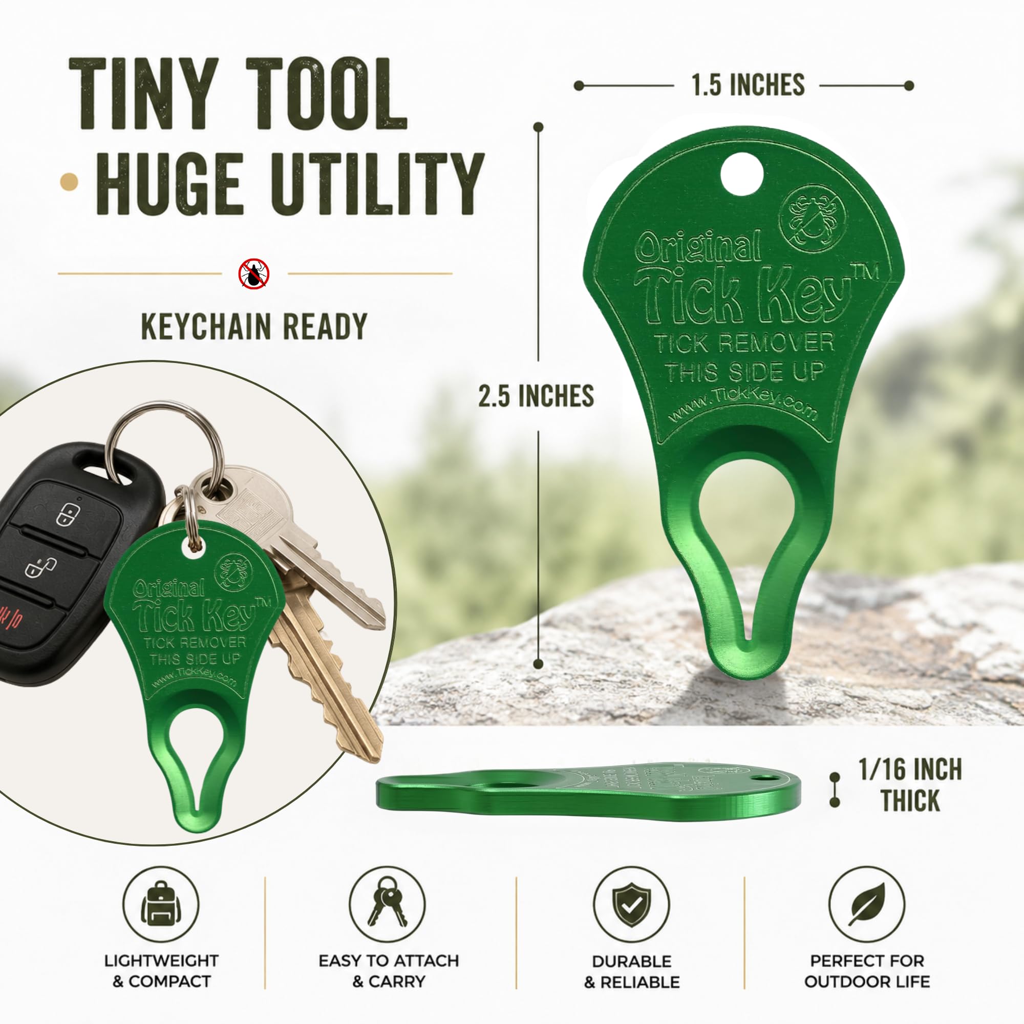 Tick Key Outil en Forme de clé pour enlever Les tiques