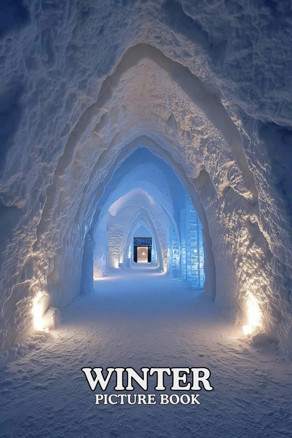 Winter: Picture Book: 40 Breathtaking Winter Images in Premium Color | A Visual Collection for Nature Lovers of All Ages.