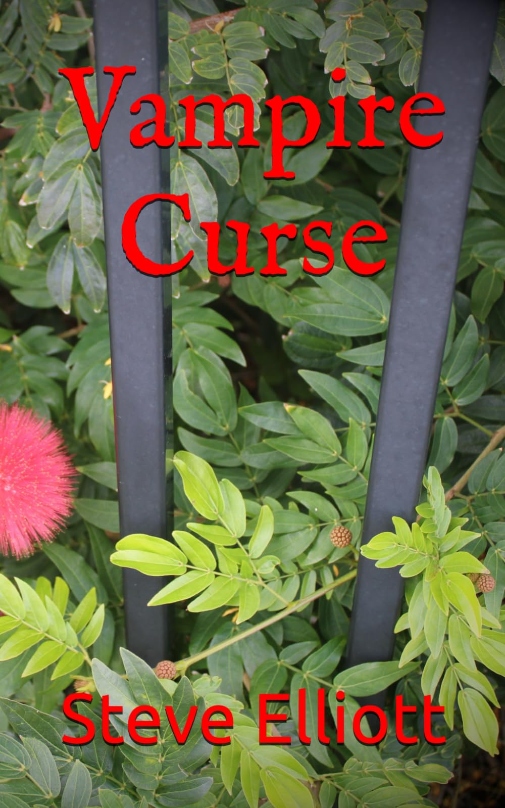 Vampire Curse: 1