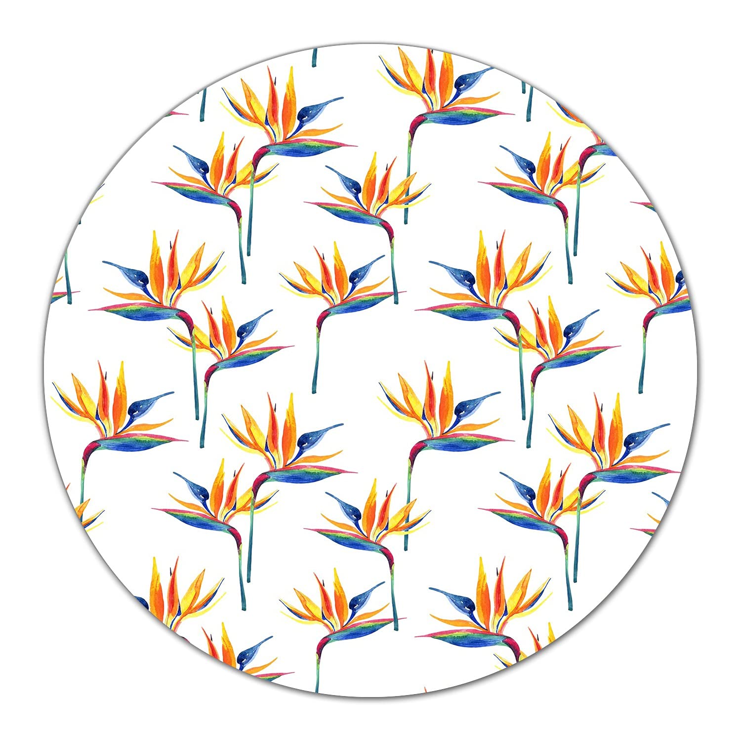 Protection plaque rond en verre trempé premium Coloray pour piano de cuisson induction