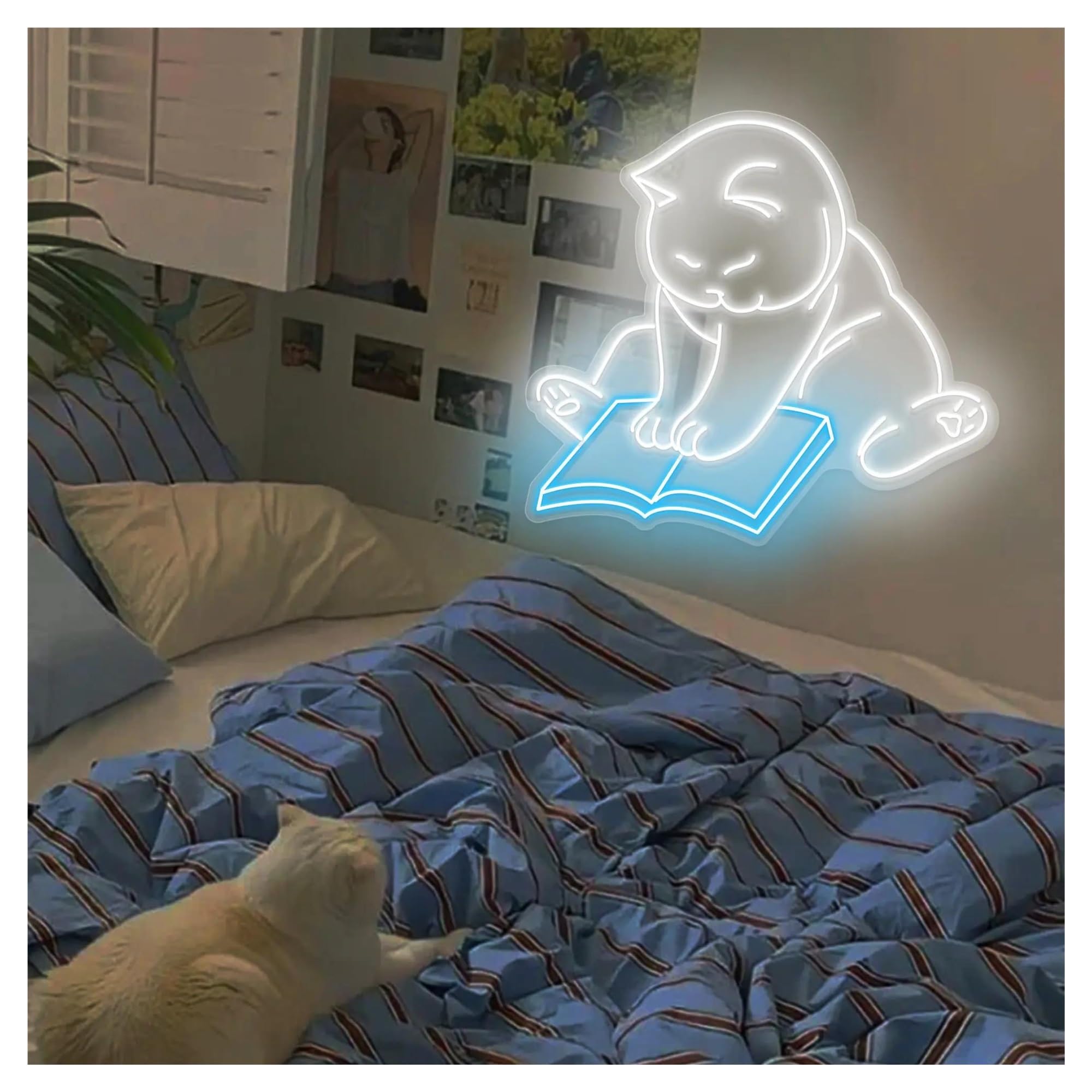 LEMST Sign Lamp Cat Reading Book Neon Sign Cute Cat Pet Lover Neon Lights for Wall Bedroom Decor 60cm(C)