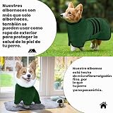 Ver la foto 4