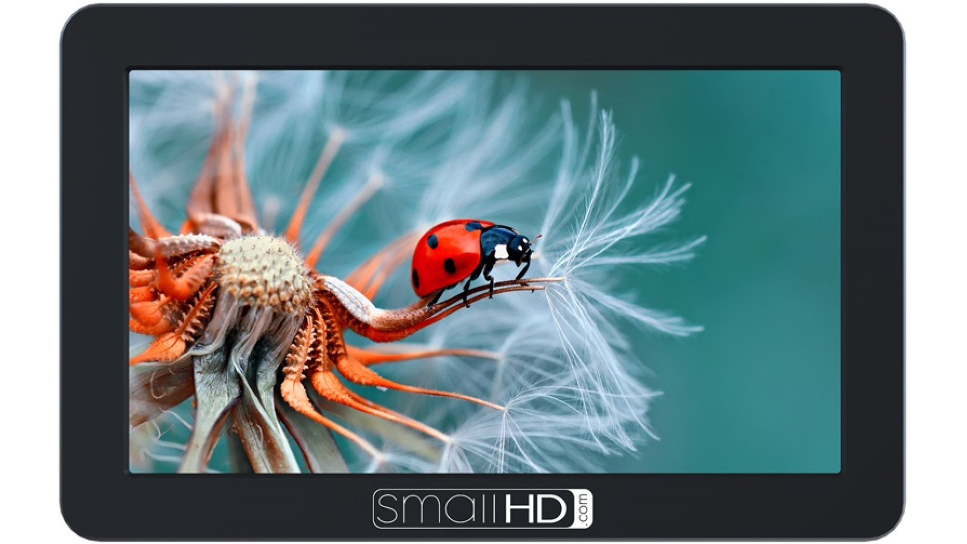 Expert Shield screen protector for: SmallHD Focus (5.0") - Crystal Clear