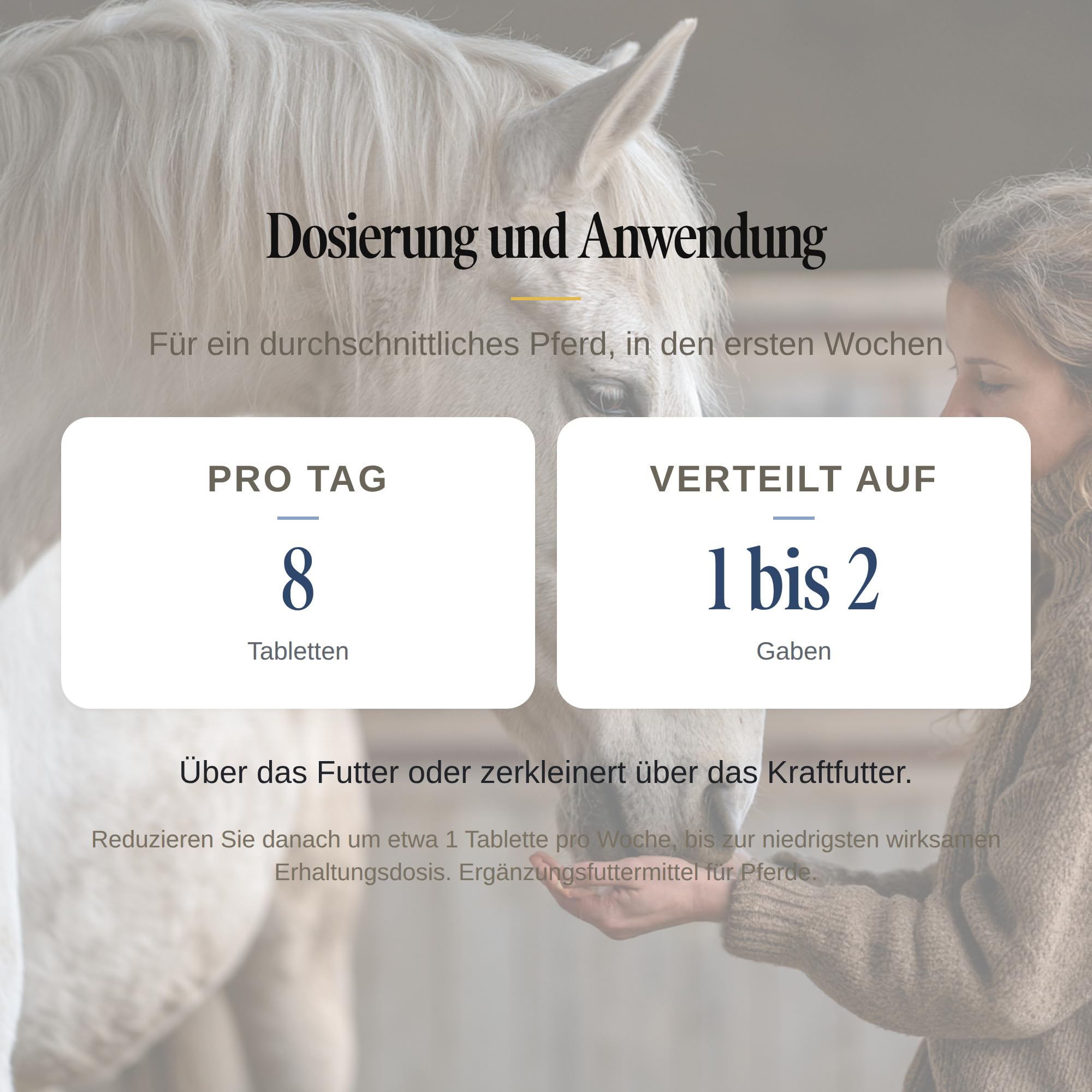 Pulmitranq Pferd - Kräuter für Atemwege & Lunge - 180 Tabl. | Freies Atmen bei Staub, Heu und Stallluft, für Sportpferde und Ponys, chinesische Tradition