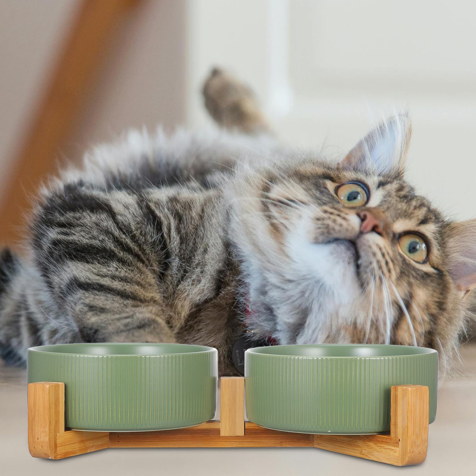 Ciotole per Cani Rialzate in Ceramica con Supporto in Legno, Doppia Ciotola Rotonda, Anti-ribaltamento, per Cibo e Acqua, Uso Domestico, per Cani e Gatti