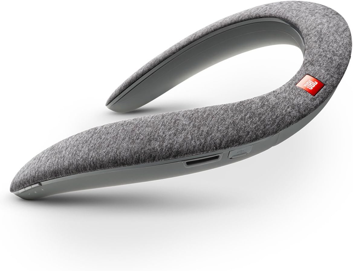 JBL Soundgear Speaker (Gray)