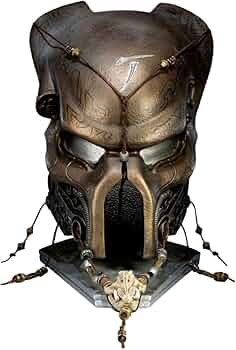 71TqIzDnfWL._AC_UF350,