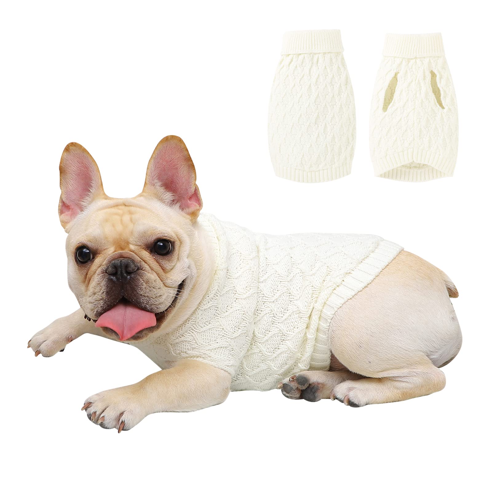 Do Dogs Really Need Sweaters