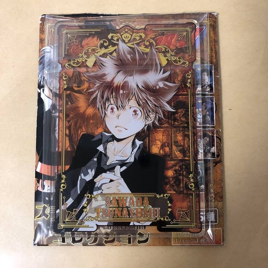 家庭教師ヒットマンREBORN ステータスカード 沢田綱吉 5点 家庭教師