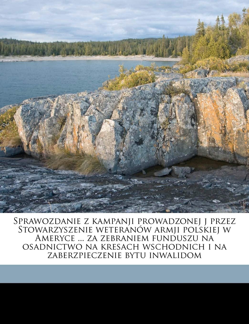 Sprawozdanie Z Kampanji Prowadzonej J Przez Stowarzyszenie Weteranow Armji Polskiej W Ameryce ... Za Zebraniem Funduszu Na Osadnictwo Na Kresach Wschodnich I Na Zaberzpieczenie Bytu Inwalidom