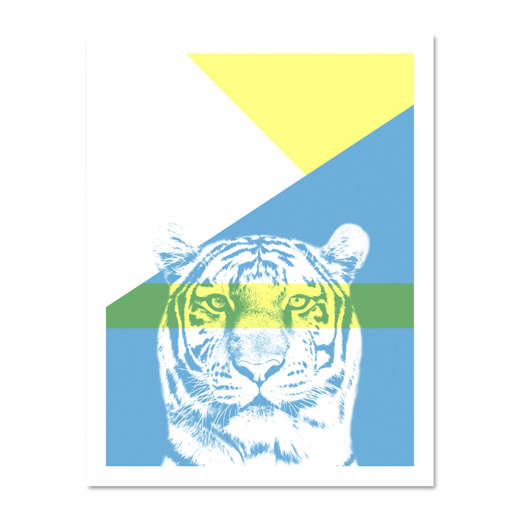 Wee Blue Coo Bold Animals Blue Tiger Large Framed Art Print Wall Poster 18x24 inch