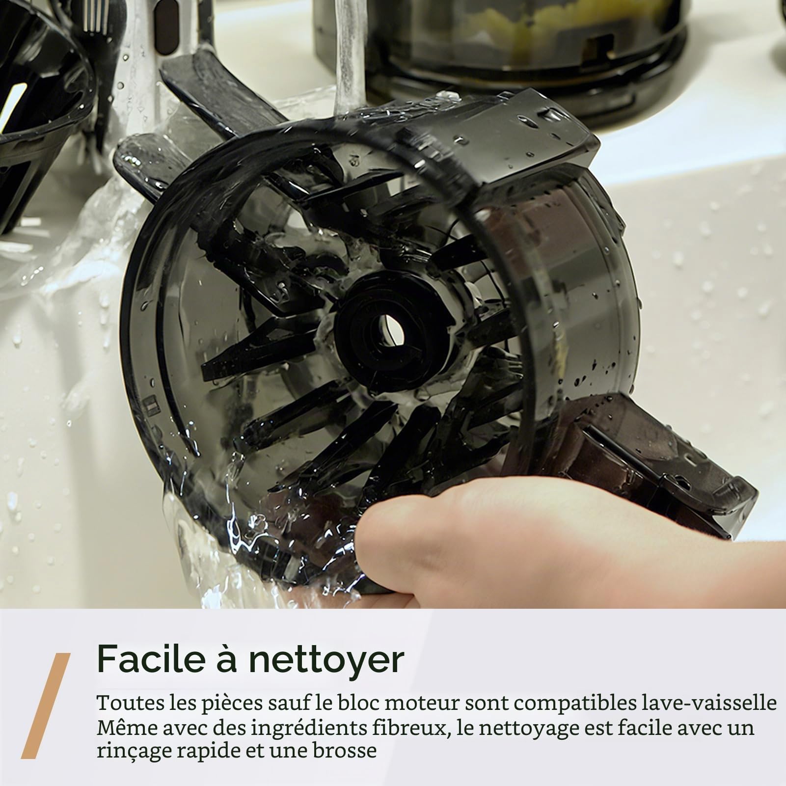 Extracteur de jus à froid lent TJean 110 mm pour fruits et légumes entiers, haut rendement, faible consommation d'énergie