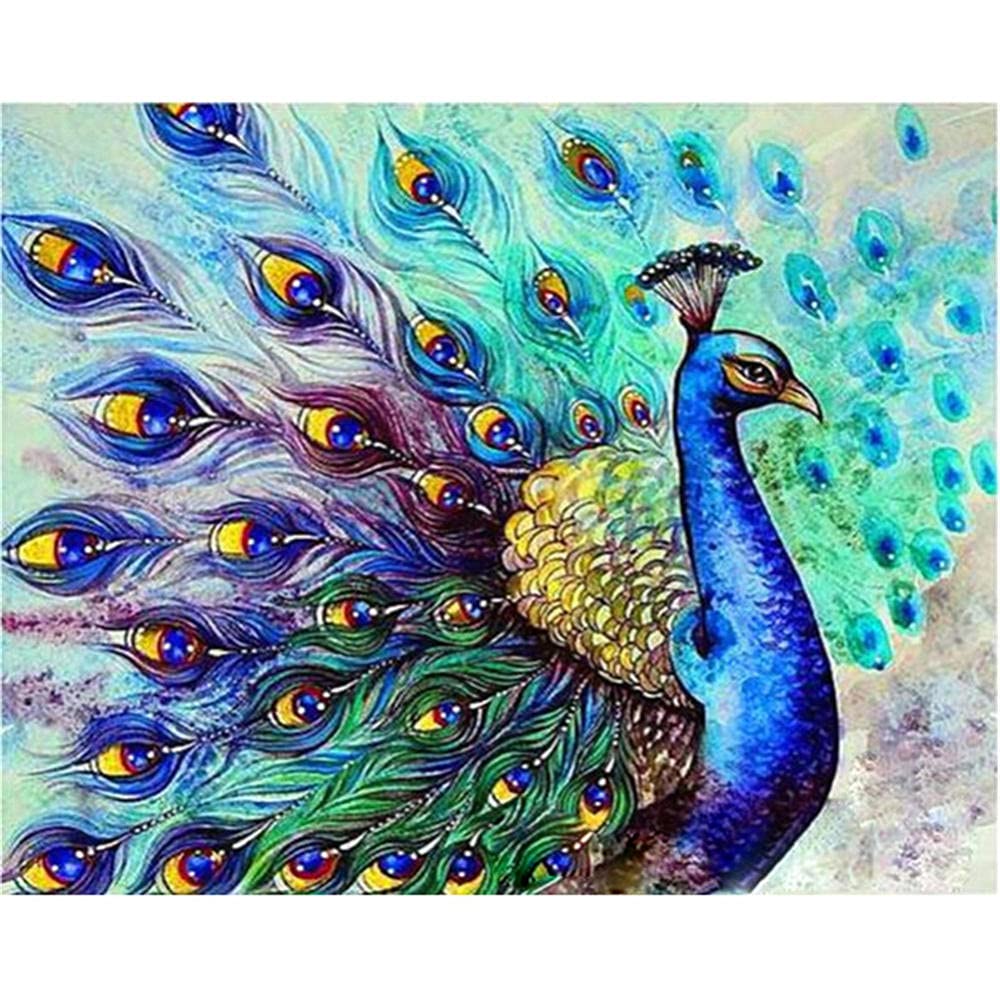 5D Diamond DIY Pfau Stickerei – Strass-Bild Zum Selbstgestalten, 30x56 Cm