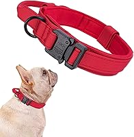 Vista 29 de Xqpetlihai Juego de collar y correa táctica para perro, collar ajustable de nailon militar para perro con mango de control y hebilla de metal