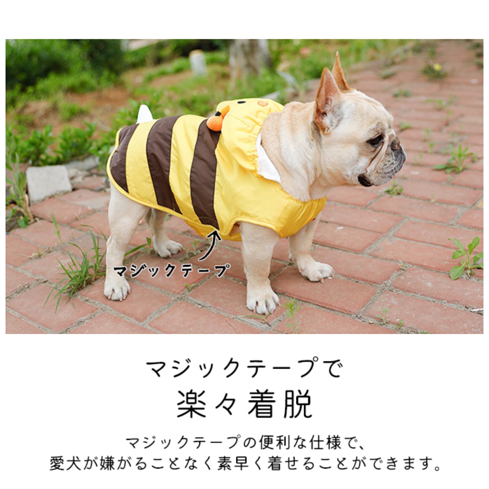Amazon | 【24HOURS】犬 レインコート フレンチブルドッグ 中型犬 雨