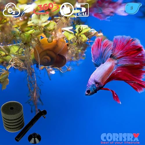Miniatura 6 de Filtro de esponja para acuario, juego de lujo para cría de alevines, filtro de esponja fina pequeña para tanque de peces de hasta 10 galones, mini