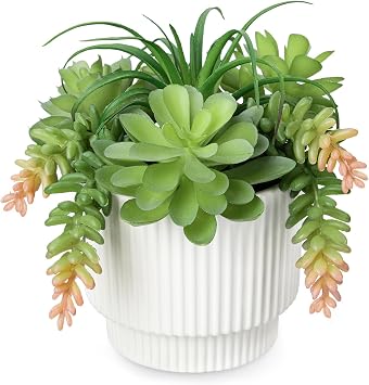 Succulents Plant Artificial for Home Decor, 6.2" Potted Fake Succulents, Faux Succulent Planters In Ceramic Pots, Modern Artificial Plants Indoor Outdoor for Desk, Bathroom, Shelf, Office Decor