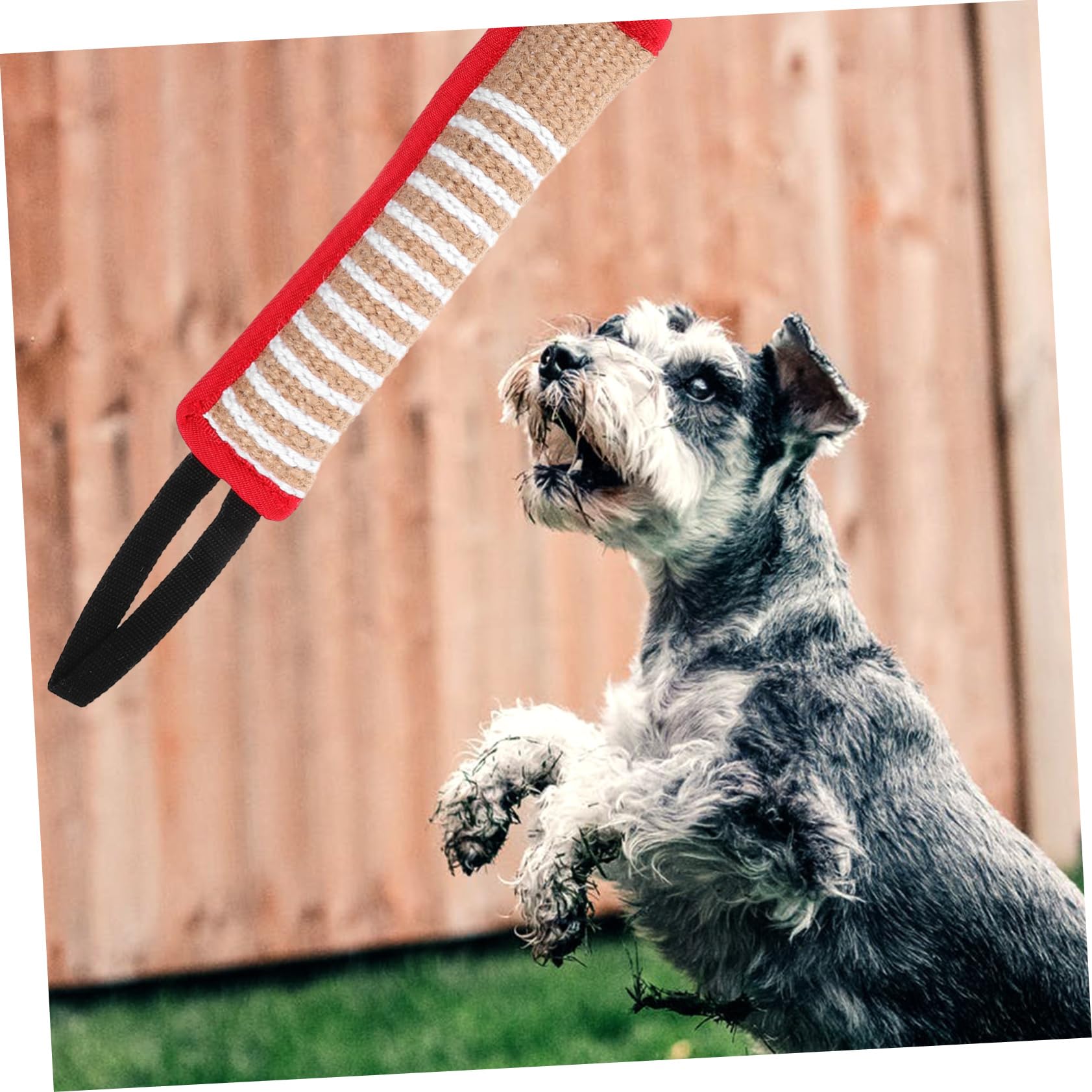 Yardwe 5stücke Dog Tug Toy Aus Jute Interaktives Kauspielzeug Für Große Hunde Langlebig Und Stabil Zum Spielen Und Trainieren Verhindert Langeweile Und Zerstörung