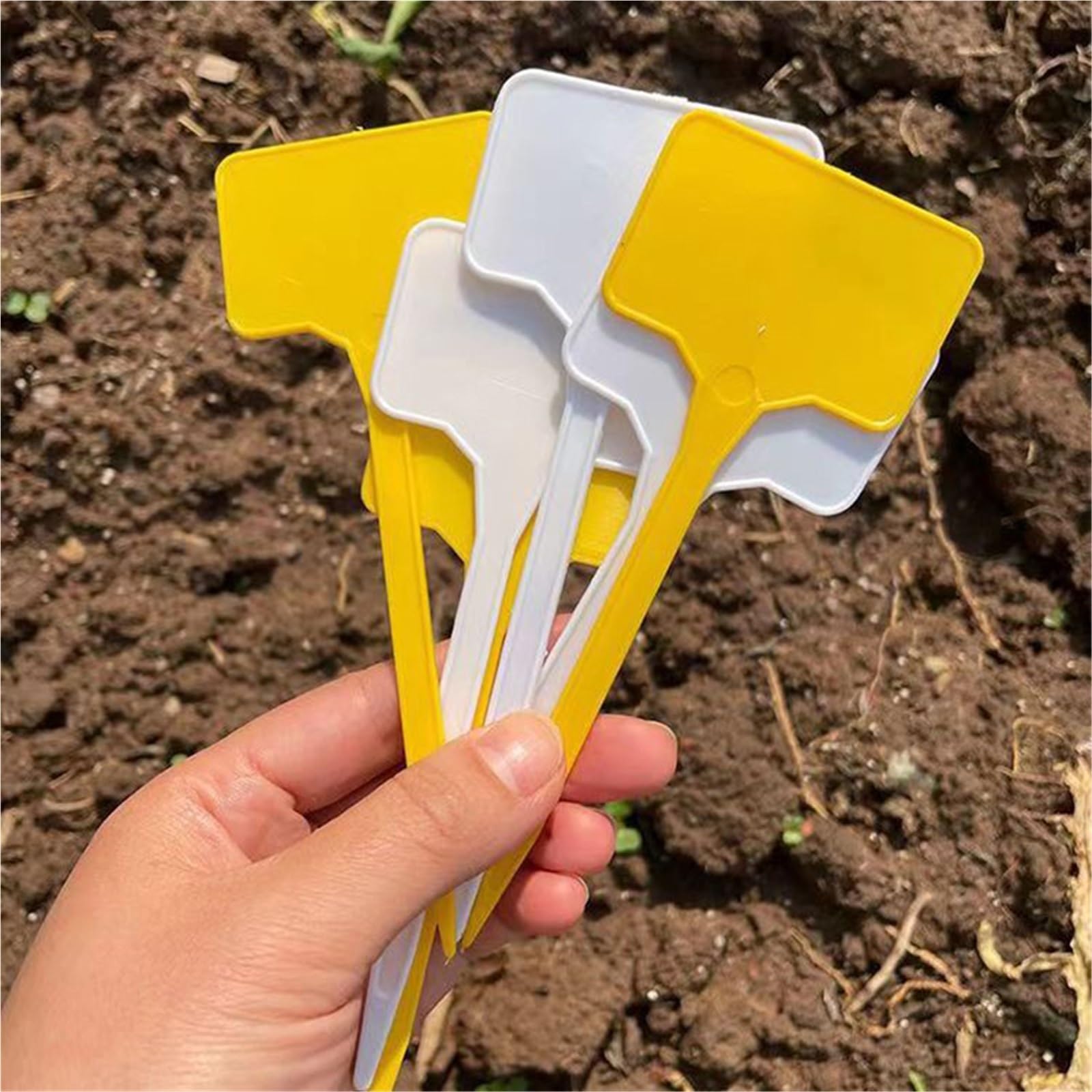 Etiquette Jardin Étiquettes de plantes jardin, étiquettes nom serre maison, outils marqueurs d'étiquettes graines étanches 10/50/100 pièces(White,100pcs)