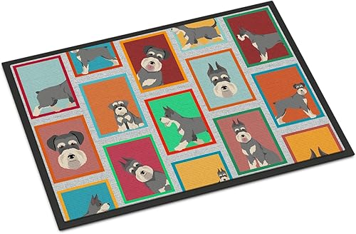 Vista 581 de Caroline's Treasures MLM1087MAT - Felpudo de perro de montaña bernés de 18 x 27 pulgadas, para interiores y exteriores, para entrada, Bernese