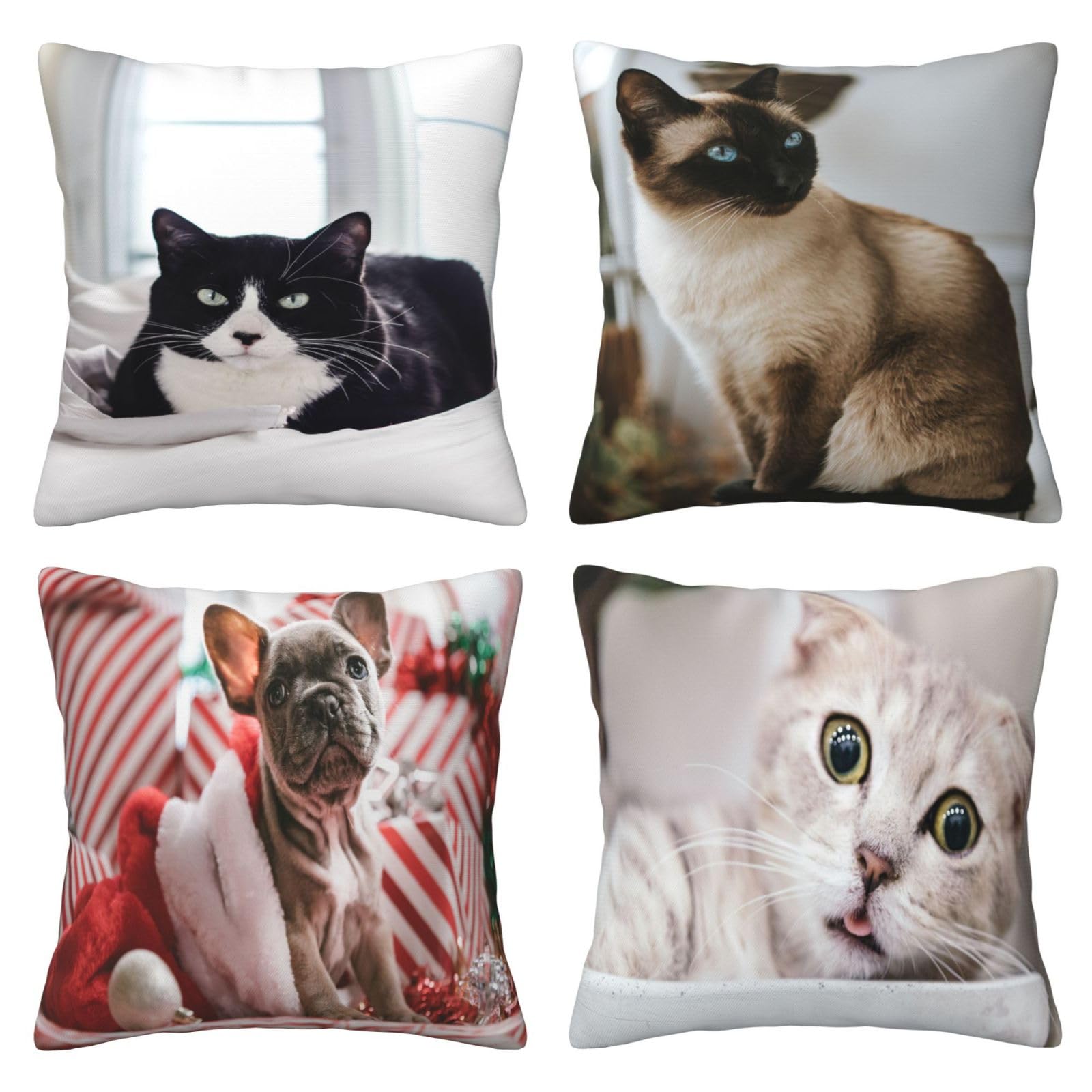 Fundas de Cojines Juego de 4 60x60cm Funda Cojin Felpa Corto Gato Cojines Decoracion Perros Fundas de Cojín Cuadradas Impresión Doble Cara con Cremallera Oculta,para Sofá Cama Decoración Hogar24x24in