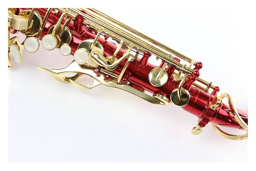 るぅーしぃーLe sucre pétillant サックス ボンネット Amazon.co.jp: LANGLIE EbTuneアルトサックスブライトレッド