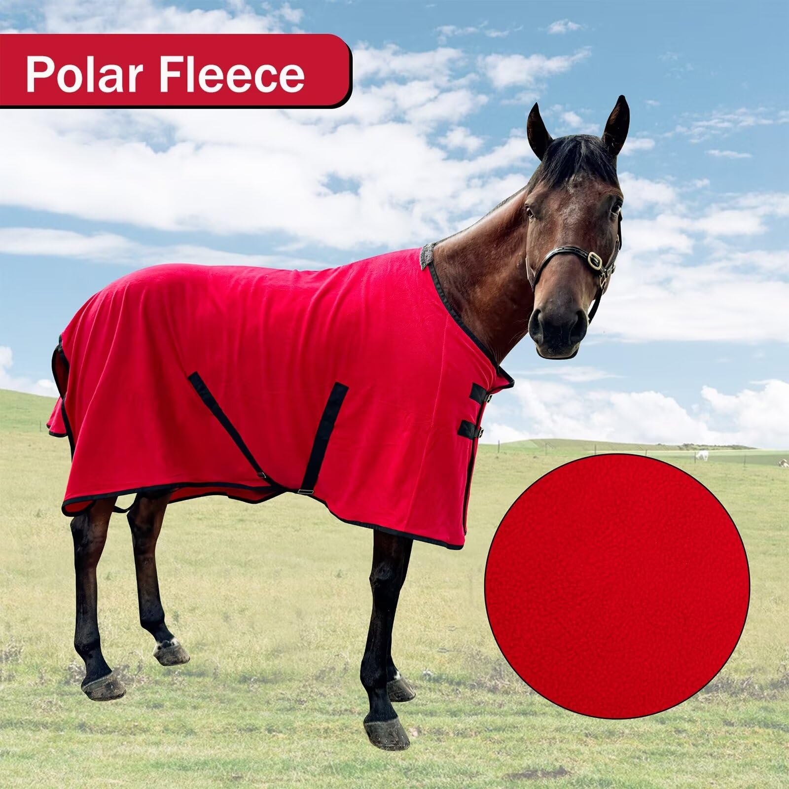 Yearling Horse Blanket The Benefits Of Fleece Blankets For Horses