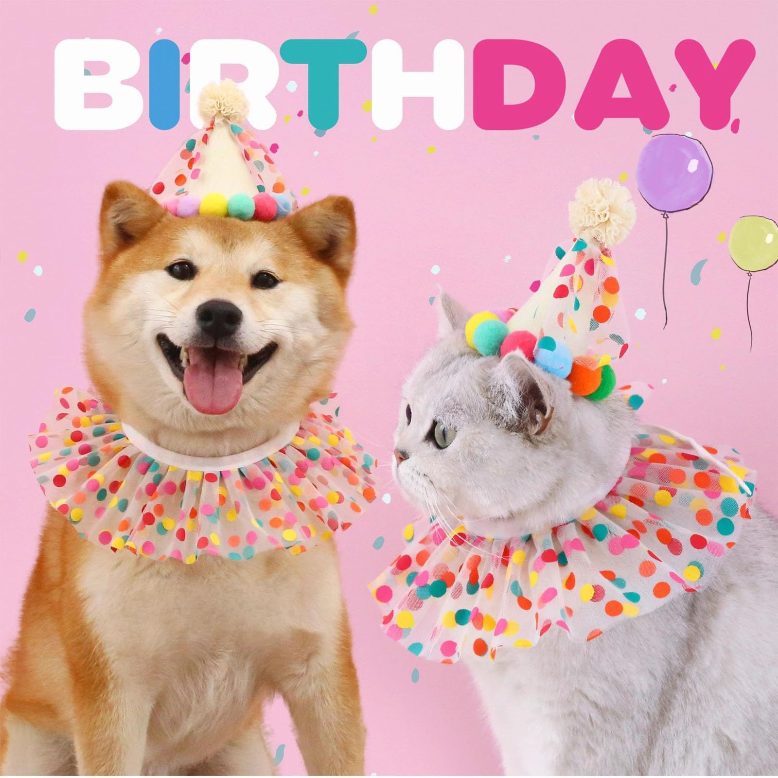 Compleanno Cane Bandana da Festa Set Puntini Colorati Ghirlanda Pompon Striscione Happy Birthday