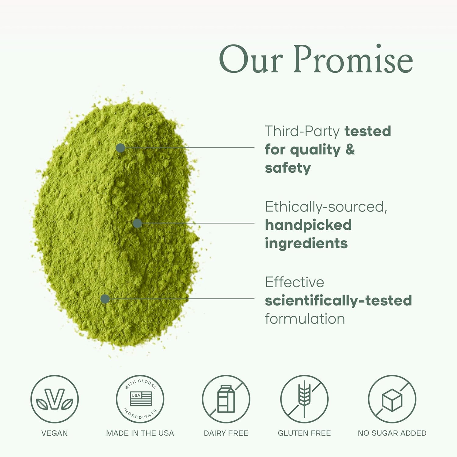 SPACE AND TIME Create - Mushroom Matcha Tea - 20 Cups of Creativity, Energy & Enhanced Mood - Organic Matcha Powder with Lions Mane, L-Theanine & Saffron