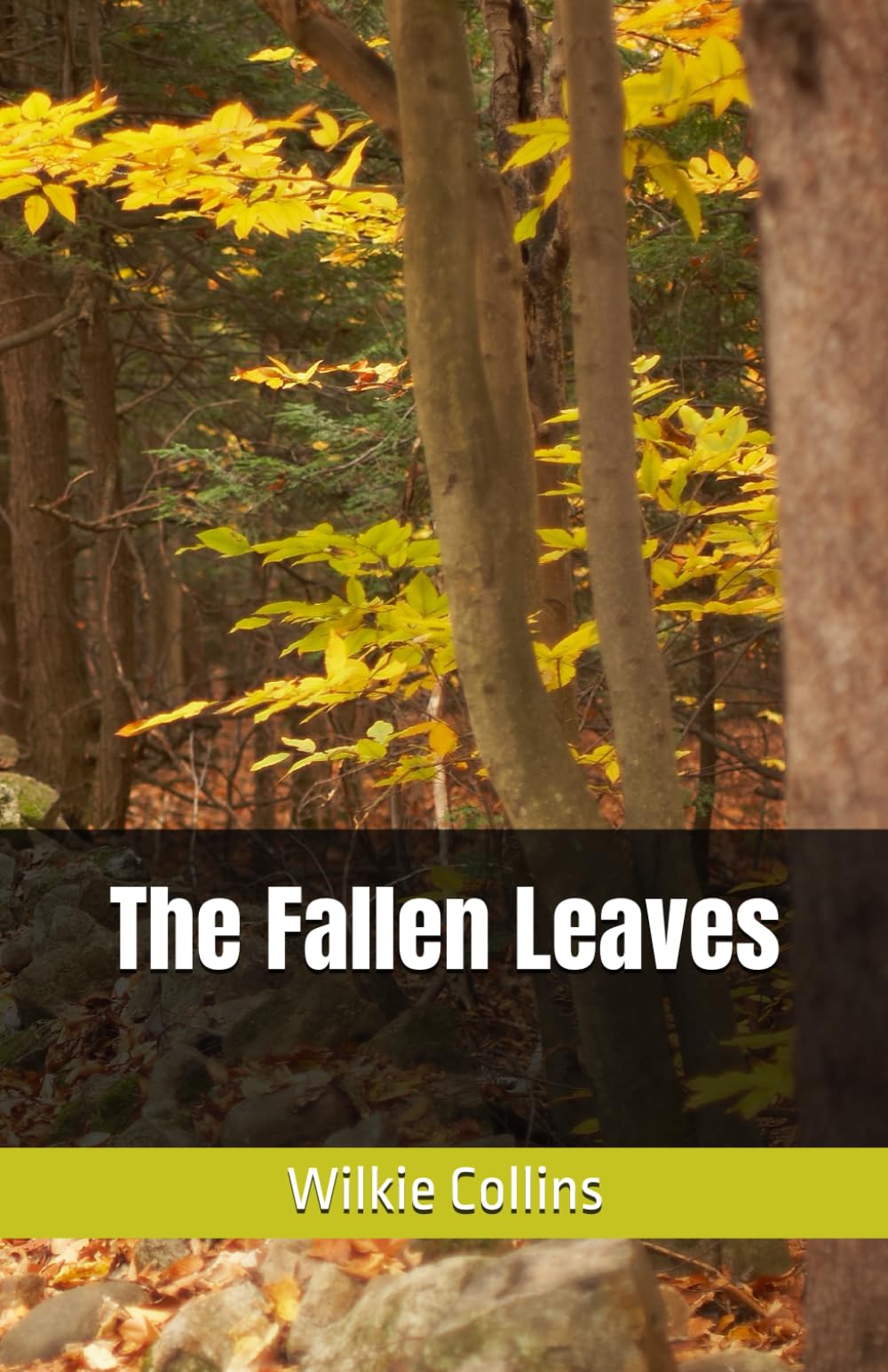 The Fallen Leaves: A Tale of Redemption, Society, and Moral Struggles