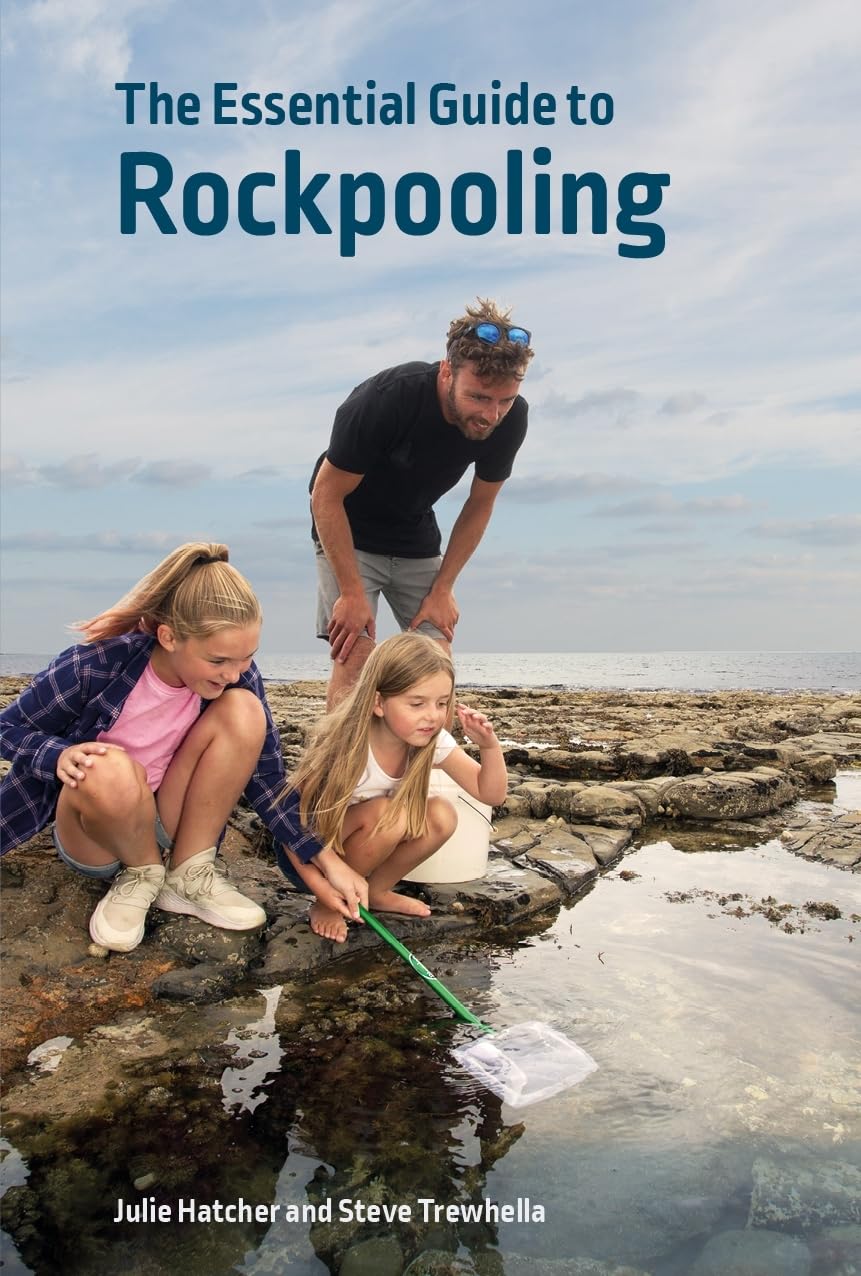 The Essential Guide to Rockpooling by Julie Hatcher (Paperback Book)