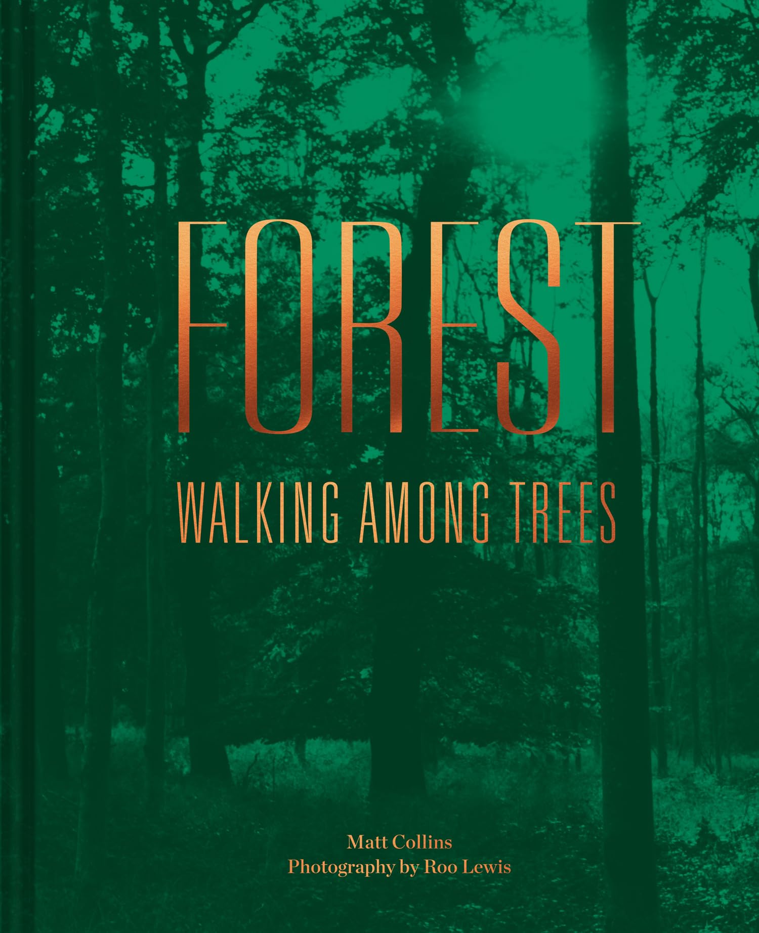 Forest: Walking among trees by Matt Collins HARDBACK 9781911595267