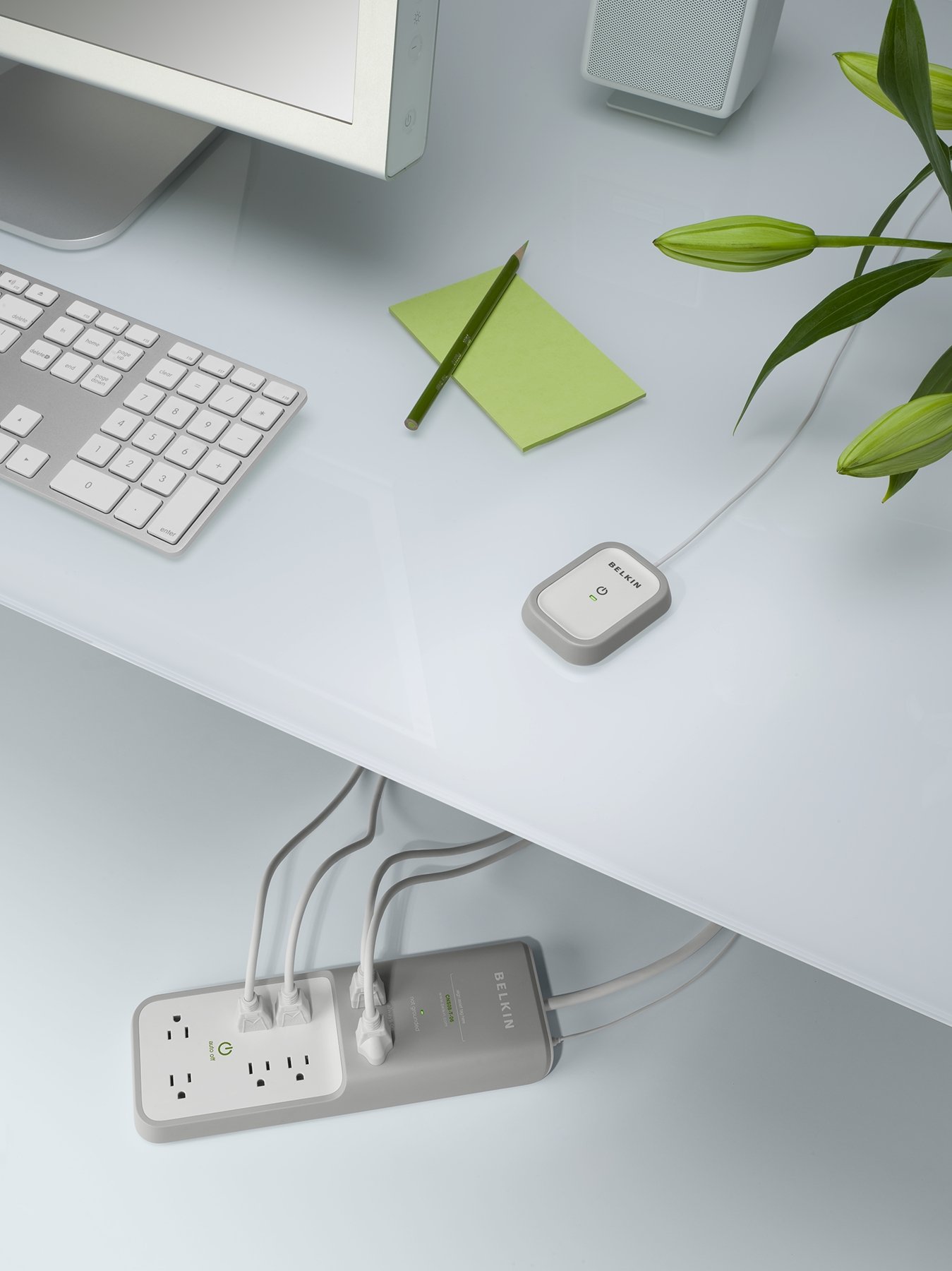 Belkin Protector contra sobretensiones de 6 Salidas con Cable de 6 pies y Temporizador, CNS08-T-06