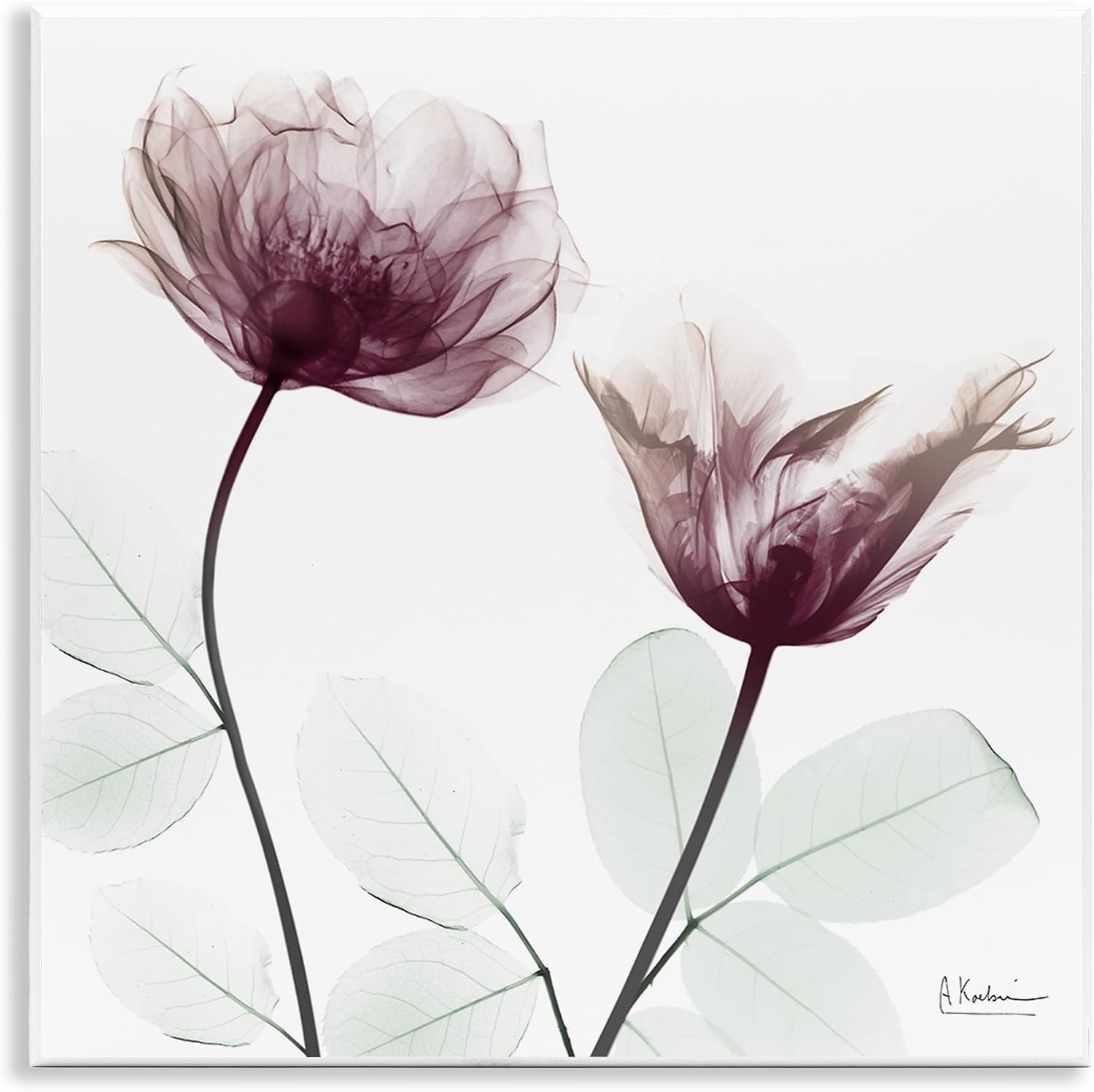 Stupell Industries 'Minimalist Translucent Flowers'| Canvas Art | Stupell Industries | 24 x 24 Inches, Easy to Hang and Sturdy, Made in USA, by Albert Koetsier
