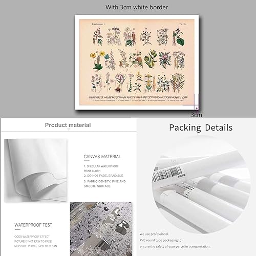 Miniatura 6 de Póster en lienzo con imágenes de plantas medicinales vintage, impresión de plantas medicinales, póster de plantas medicinales, ilustración botánica,
